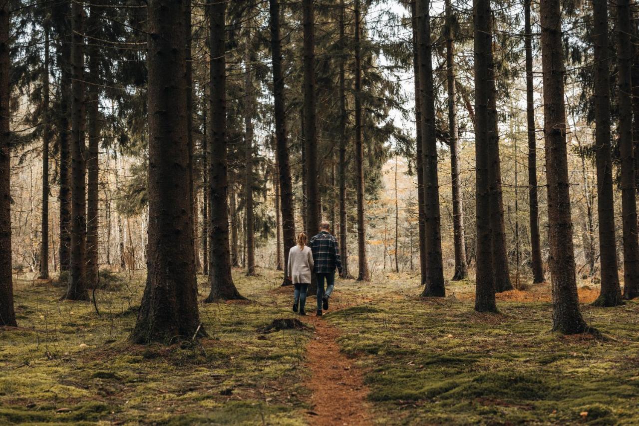 4P Chalet Tolve Met 4 Fietsen Vlakbij Natuurgebieden Drents Friese Wold, Fochteloerveen En Gevangenisdorp Veenhuizen Oosterwolde  Exteriör bild