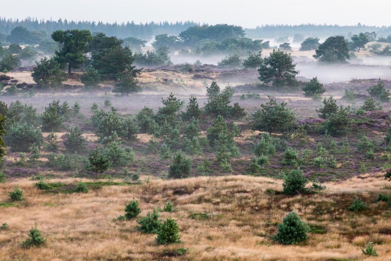 4P Chalet Tolve Met 4 Fietsen Vlakbij Natuurgebieden Drents Friese Wold, Fochteloerveen En Gevangenisdorp Veenhuizen Oosterwolde  Exteriör bild