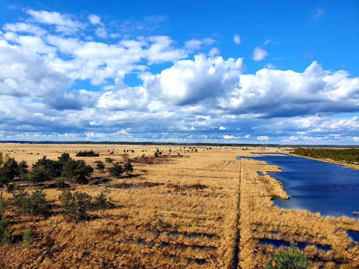 4P Chalet Tolve Met 4 Fietsen Vlakbij Natuurgebieden Drents Friese Wold, Fochteloerveen En Gevangenisdorp Veenhuizen Oosterwolde  Exteriör bild